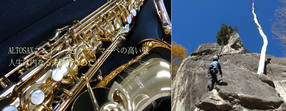 ヘッダーイメージ