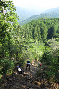 伊豆ケ岳・男坂
