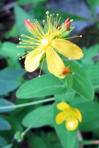 kitadake-iwaotogiri1408004