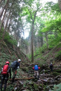 yubanosawa1407130004