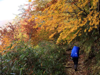 �C���[�W04